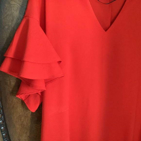 Clothes - Picture 2 of 4